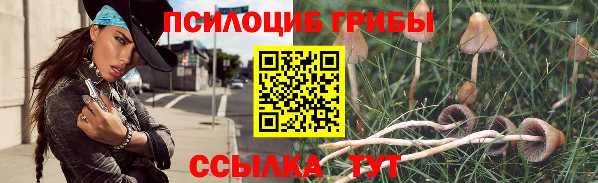 Псилоцибиновые грибы ЛСД Будённовск