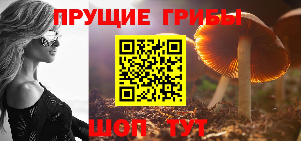 Галлюциногенные грибы мицелий  Вход с VPN  Будённовск 